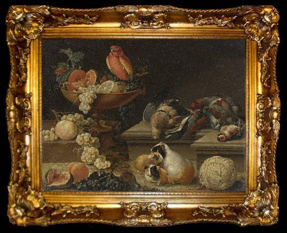 framed  Johann kupetzky Still life with a Parrot, ta009-2